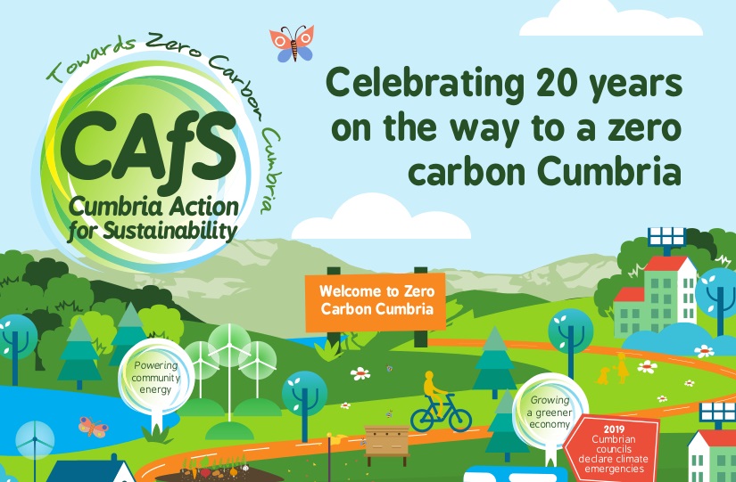 CAfS 20 Years Cover