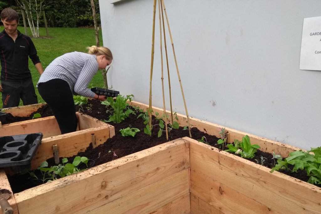 IncredibleEdibleAmbleside 1