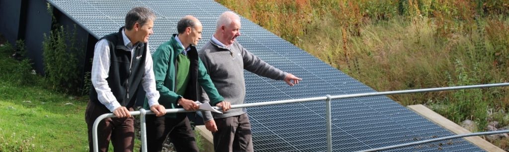 IMG 0312 cropped 2 1