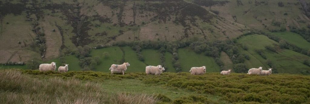 veronica white 9BWhw73n8xY unsplash 1 e1682423613229