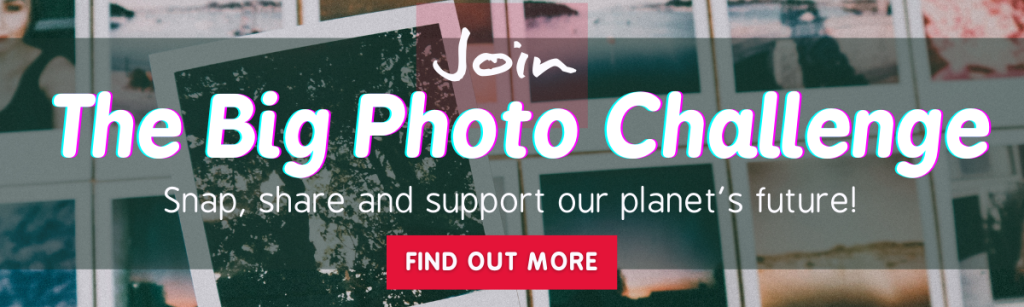 The Big Photo Comp. 1500 × 400px 1200 × 360px