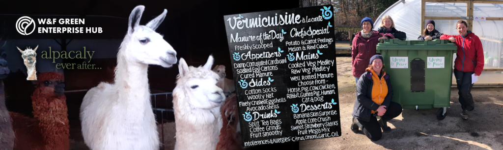 Alpacally Ever After 2