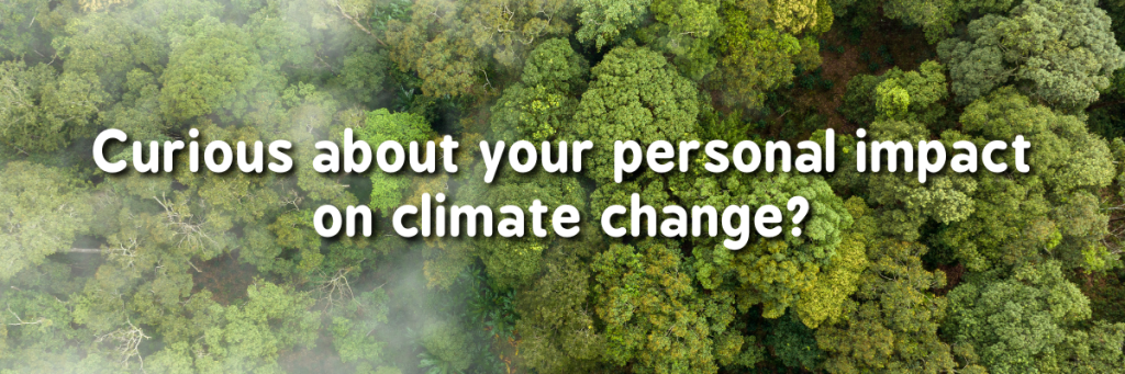 Carbon calculator banner 2